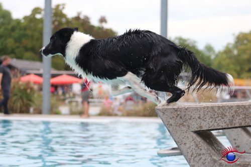 Auch in der Klasse der Fortgeschrittenen
