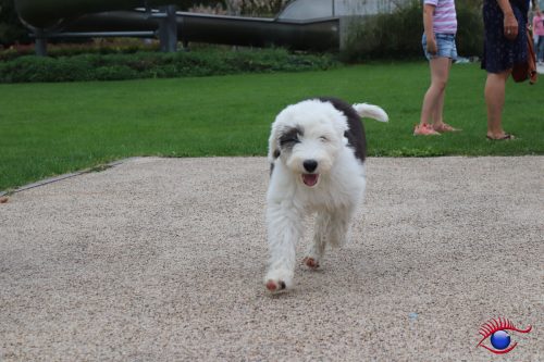 Zum knuddeln und liebhaben