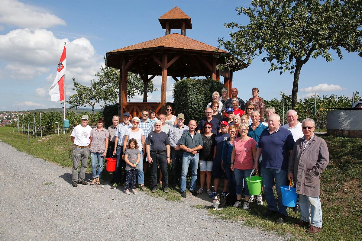 Zehn Jahre Walldorfer Bürgerwingert – Herbsten an einem Sommertag