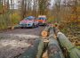 Waldspaziergang in Östringen endet kurios – Mann eingeklemmt