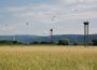 Walldorf: Storchenwiese soll Naturschutzgebiet werden