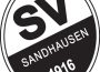 SV Sandhausen: Punkteteilung in Dresden