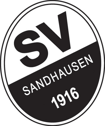 SV Sandhausen: Punkteteilung in Dresden