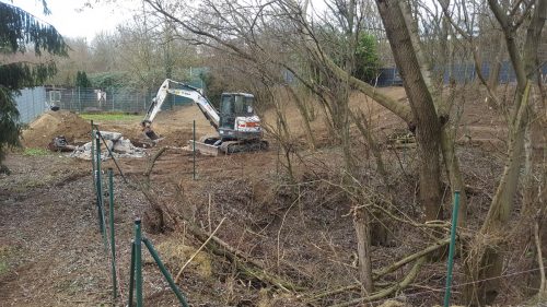 Bagger rollen im Tom-Tatze-Tierheim