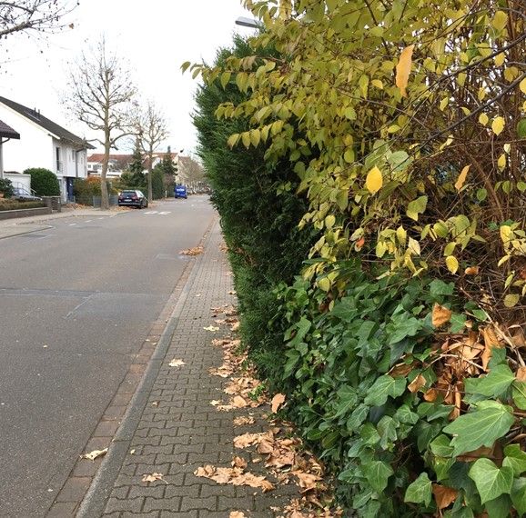 Gehweg frei für Fußgänger! Test-Tour der Generationenbrücke in Walldorf