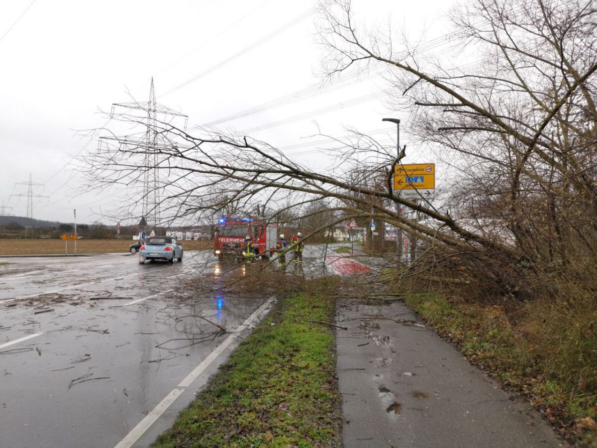 Wiesloch/Dielheim/Bammental: Sturm fordert Einsatzkräfte – Wetterwarnung besteht weiterhin