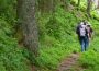Männerpilgern im Nationalpark Schwarzwald