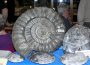 57. Rhein-Neckar-Mineralienbörse am 01.03. in Walldorf