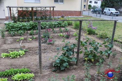 Der Garten zweier Senioren!