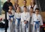 Wieslocher Tae-Kwon-Do Kämpfer erringen 6 Medaillen…