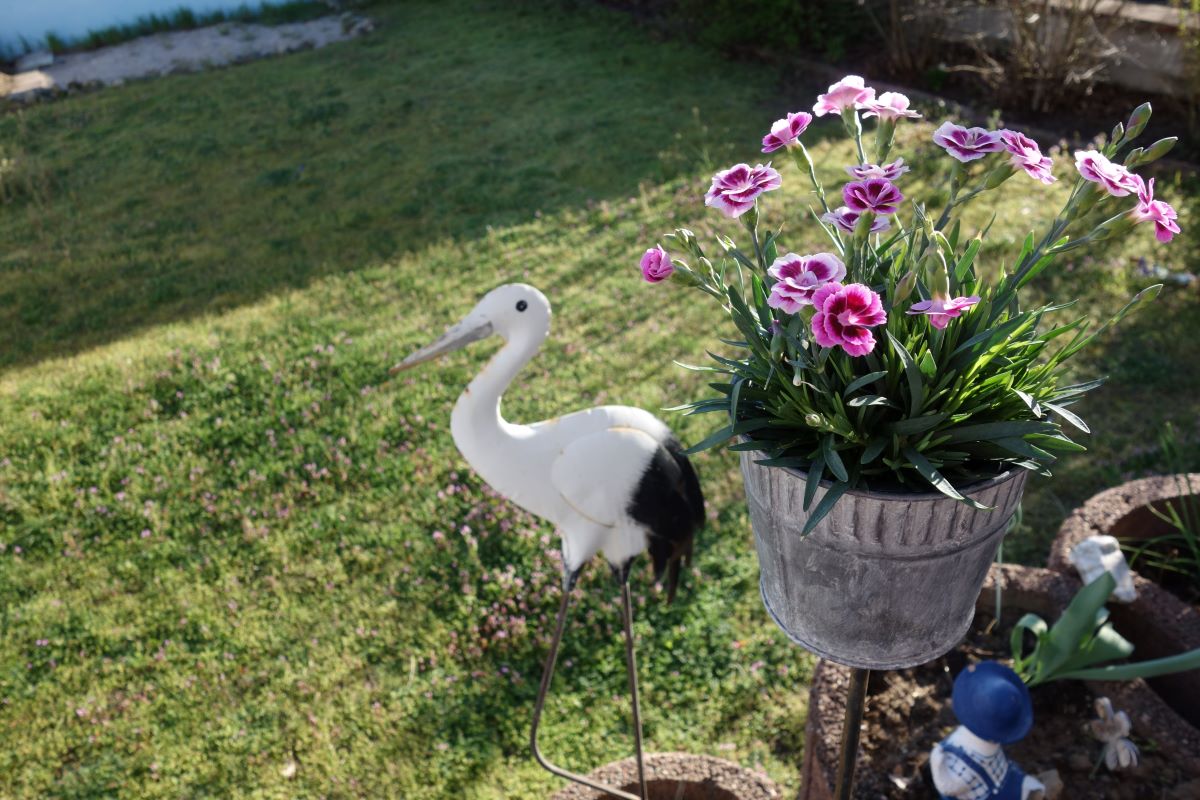 Frei von Corona – Nur Natur am Sonntag in Walldorf