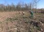 13.500 junge Bäume für Wieslochs Wald der Zukunft