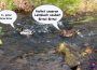 Appell an die Bevölkerung: Haltet die Umwelt sauber! Unangemeldete Demonstration der Spaziergänger in der Fußgängerzone Wiesloch