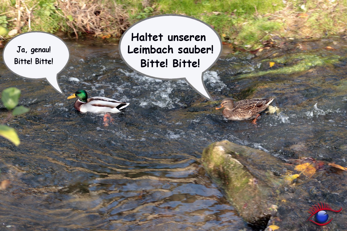 Appell an die Bevölkerung: Haltet die Umwelt sauber! Unangemeldete Demonstration der Spaziergänger in der Fußgängerzone Wiesloch