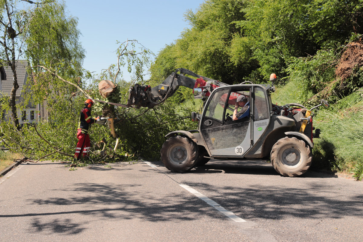 Sturm im Raum Wiesloch – Blockierte Straßen mancherorts