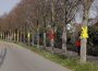 Walldorfer Hasenparade