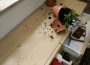 Städtisches Förderprogramm der Stadt Walldorf zum Einbruchschutz nutzen