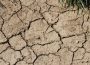 Digitale Podiumsdiskussion über die Zukunft der Landwirtschaft