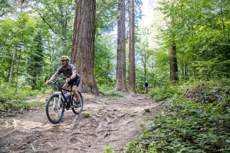 SCW Mountainbike-Techniktour am Hausberg „Königstuhl“