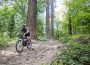 SCW Mountainbike-Techniktour am Hausberg „Königstuhl“