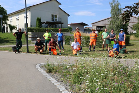 „Natur nah dran“: Wieslocher Delegation pflegt Blühflächen für Wildbienen und Schmetterlinge