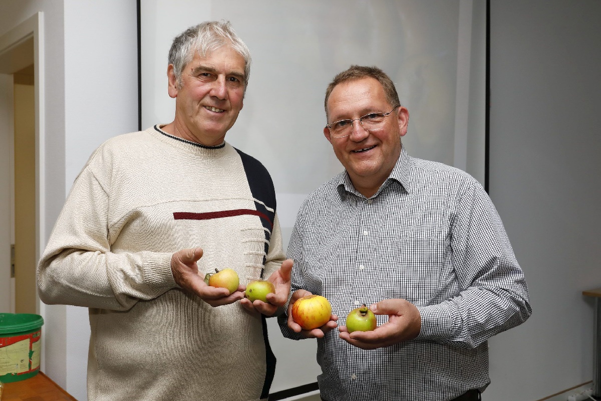 Walldorf: Wie alte Apfelsorten wirken – Vortrag von Erwin Holzer am 2. September