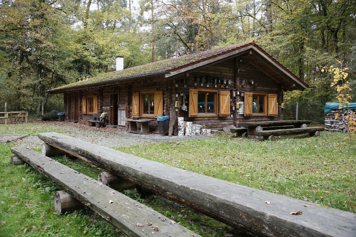 Frag den Förster! – Wald-Fragestunde in Walldorf