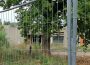 Baiertal: Ungenehmigte Baumfällaktion am Wichernhaus