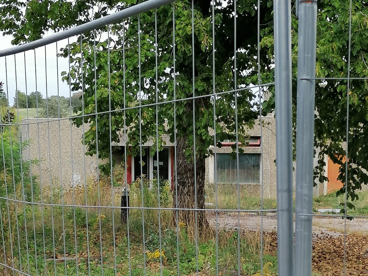 Baiertal: Ungenehmigte Baumfällaktion am Wichernhaus