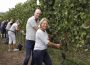 Herbsten im Bürgerwingert