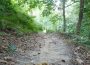 Trend in der Pandemie: Wandern boomt in der Corona-Krise