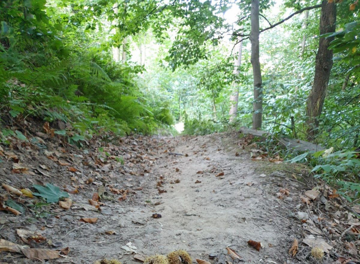 Trend in der Pandemie: Wandern boomt in der Corona-Krise