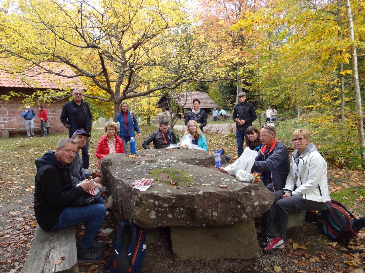 Ski-Club Wiesloch Wanderung auf dem Neckarsteig