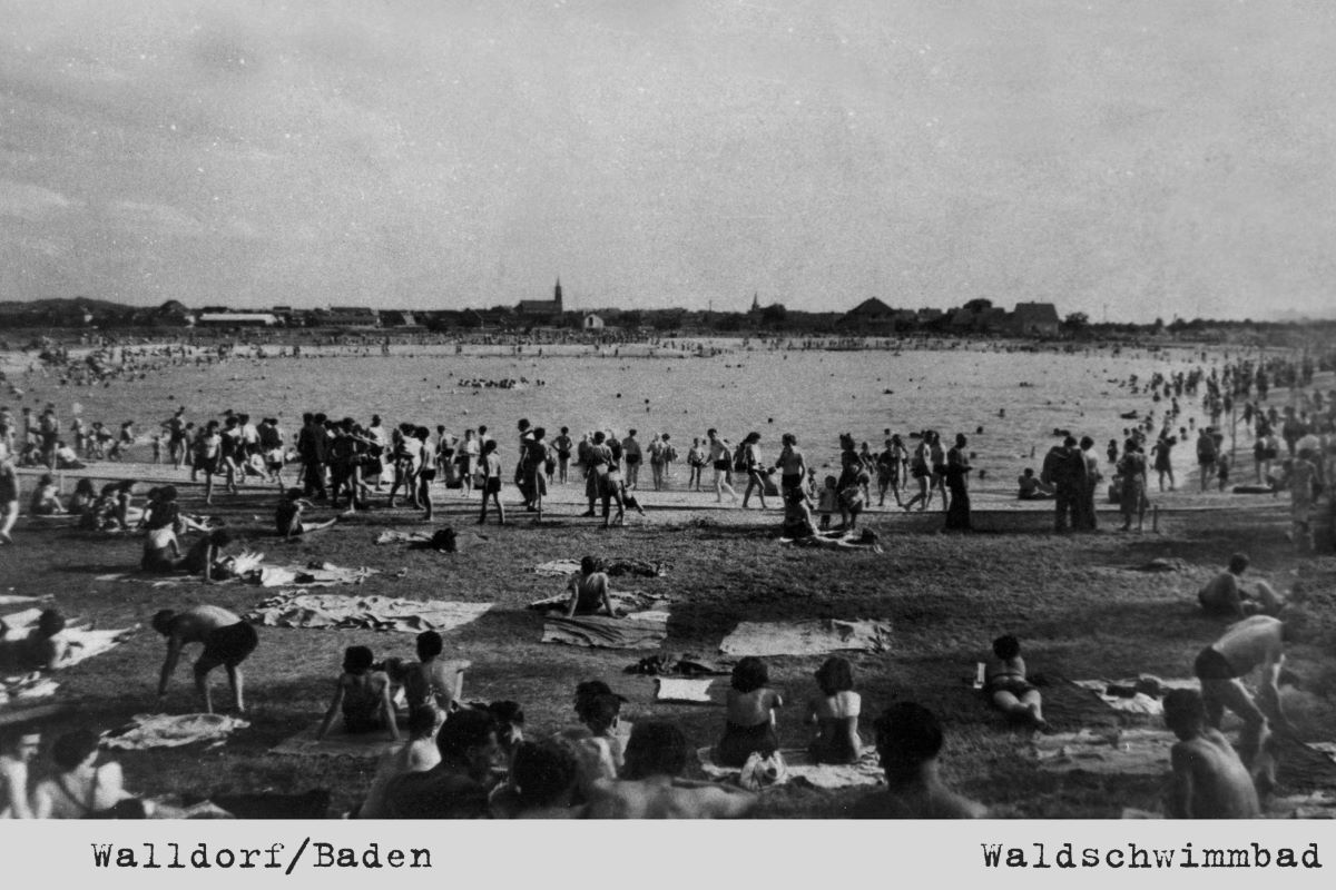 50 Jahre Jubiläum der DLRG-Jugend Walldorf