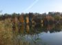 Herbstspaziergang in Walldorf