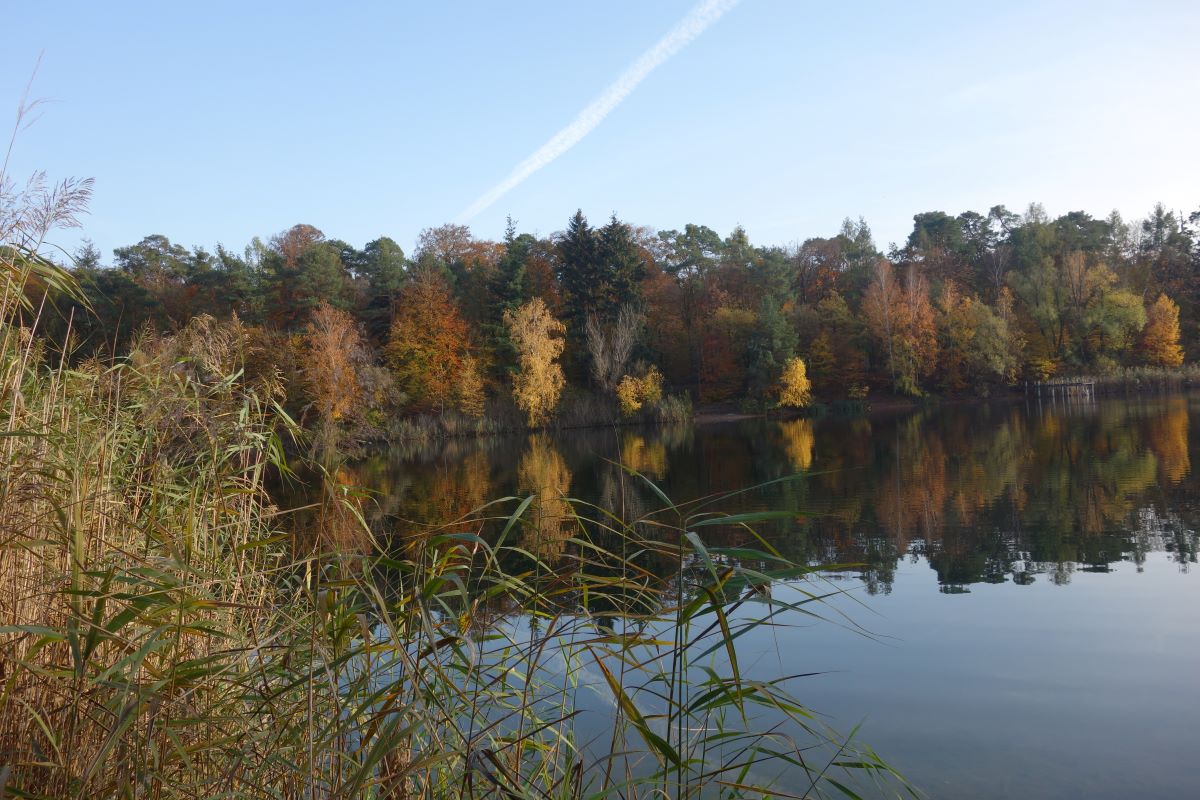 Herbstspaziergang in Walldorf