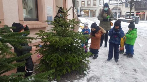 Kindergärten schmücken Bäumchen 2020