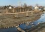 Stadtgärtnerei Wiesloch ist seit Wochen im Pflanzmodus