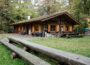 Dramatische Situation der Wälder mit Hoffnungsschimmer