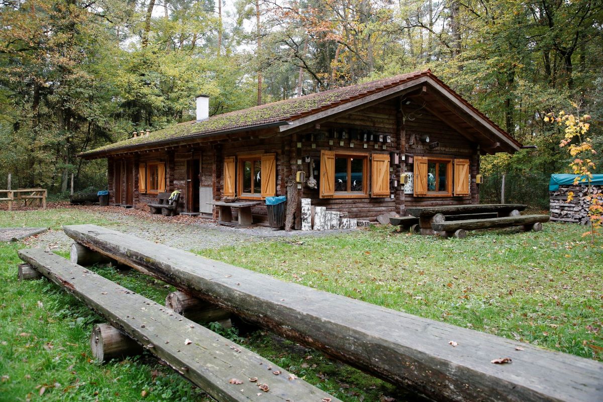 Dramatische Situation der Wälder mit Hoffnungsschimmer