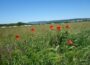 Natur und Kreiseltour rund um Walldorf