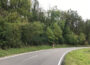 Verkehrssicherungsmaßnahmen an der Kreisstraße zwischen Baiertal und Dielheim