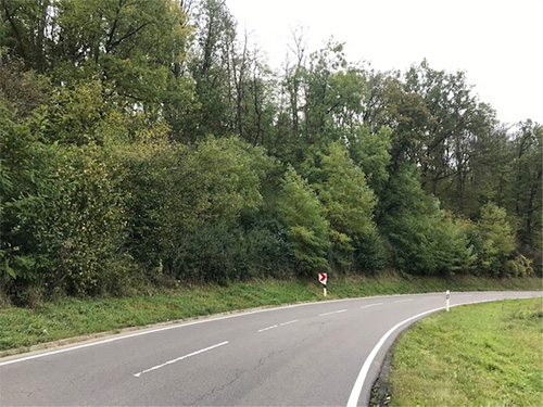 Verkehrssicherungsmaßnahmen an der Kreisstraße zwischen Baiertal und Dielheim