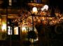 Kunst für Walldorf e. V. wünscht Frohe Weihnachten!