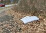 Walldorf: Müllentsorgung im Wald