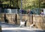 Der Tierpark Walldorf hat wieder geöffnet