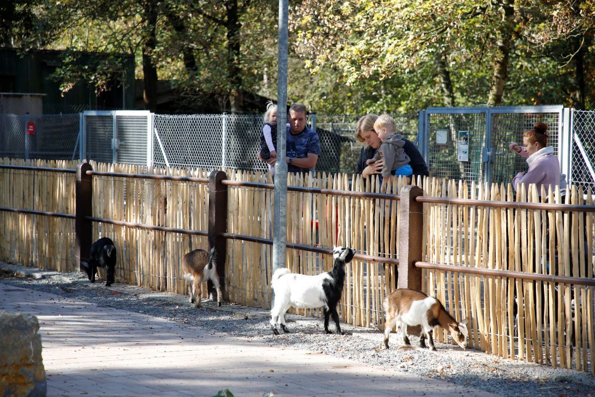 Der Tierpark Walldorf hat wieder geöffnet