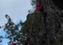 Versuch „Trockeneiche“ im Reilinger Eck hat begonnen