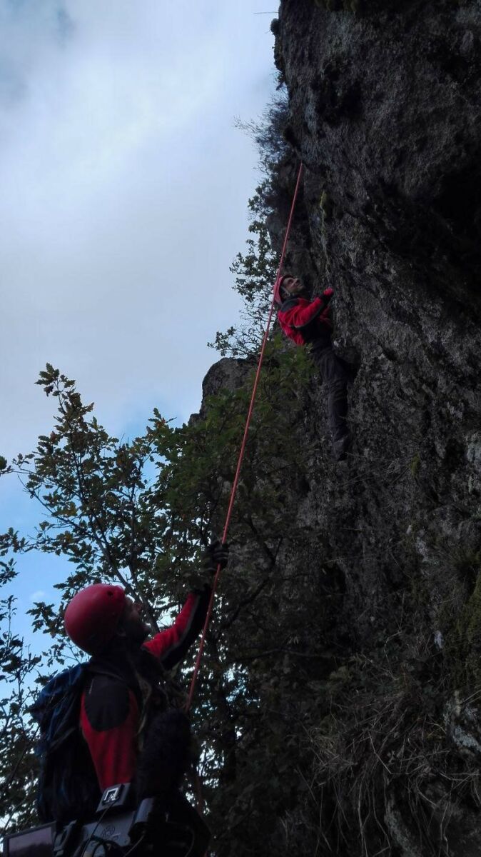 Versuch „Trockeneiche“ im Reilinger Eck hat begonnen