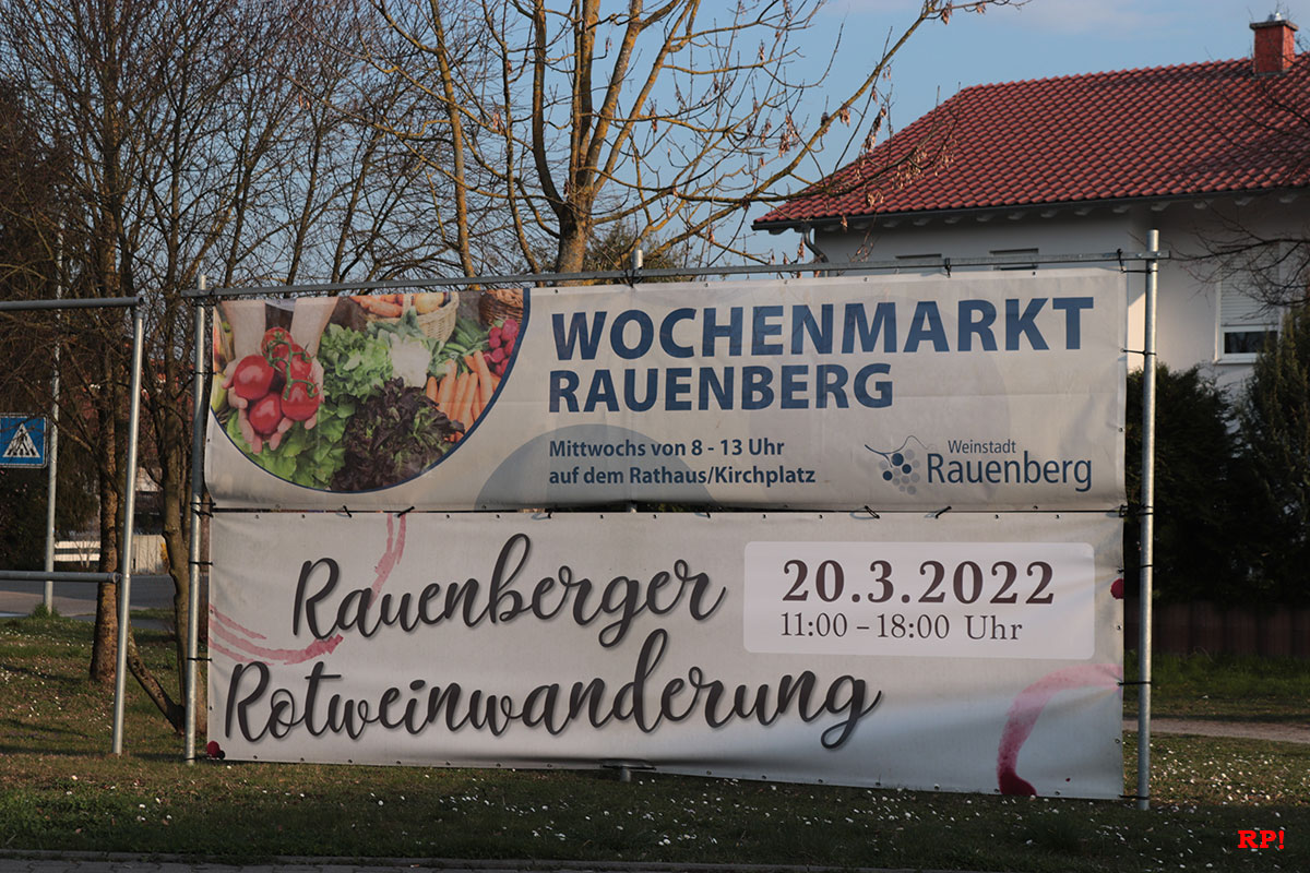 1. Rauenberger Rotweinwanderung 2022 – ein voller Erfolg
